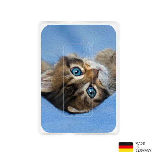 PocketCleaner® mit Designmotiv Katzen