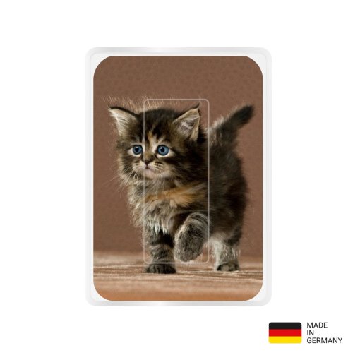 PocketCleaner® mit Designmotiv Katzen Braun