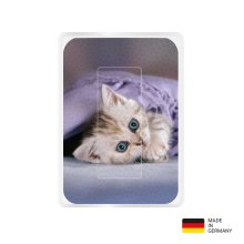 PocketCleaner® mit Designmotiv Katzen Braun