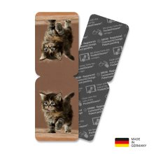 PocketCleaner® mit Designmotiv Katzen Braun