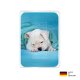 PocketCleaner® mit Designmotiv Hunde Gelb